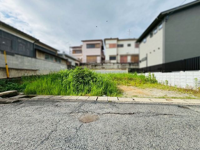 ޗǌaSRs쒬 ̓yňnynʐ^