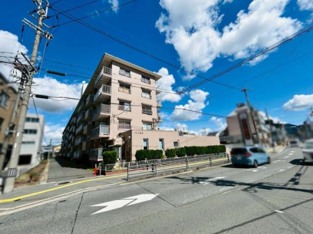 ޗǌޗǎsؒҒ ̒Ã}V̌nOώʐ^