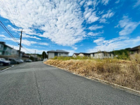 ޗǌޗǎs1ڂ̓yňnynʐ^