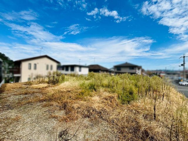 ޗǌޗǎs1ڂ̓yňnynʐ^