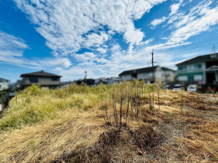 ޗǌޗǎs1ڂ̓yňnynʐ^