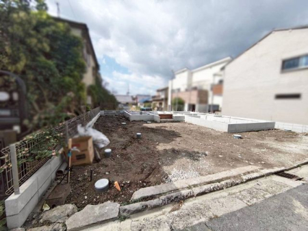 ޗǌޗǎsؒҒ ̐VzˌĂ̌nOώʐ^