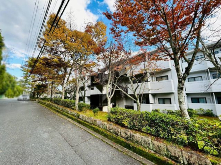 ޗǌޗǎsʎ᎛ ̒Ã}V̌nOώʐ^