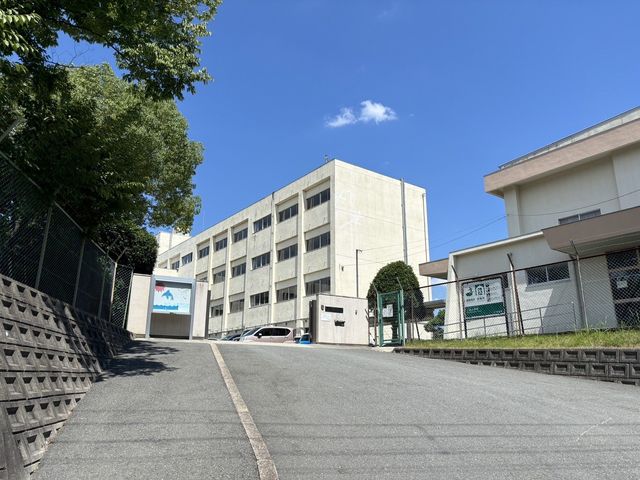 ޗǌޗǎsou1ڂ̓yn̎ӊ