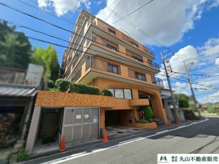 ޗǌޗǎs基 ̒Ã}V̌nOώʐ^