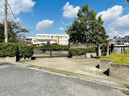 ޗǌaSRsic ̐VzˌĂ̎ӊ