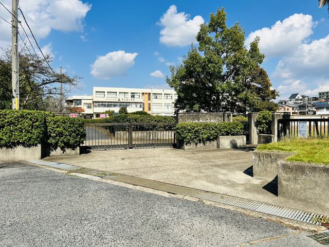 ޗǌaSRsic ̐VzˌĂ̎ӊ