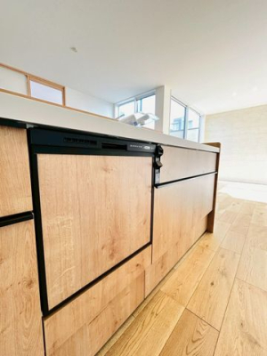 ޗǌaSRsic ̐VzˌĂ̂̑