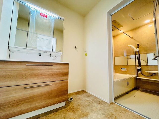 ޗǌaSRsic ̐VzˌĂ̐ʑEʏ