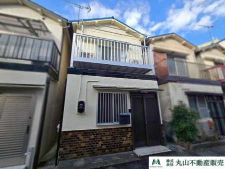 ޗǌޗǎsO{ ̒ÈˌĂ̌nOώʐ^