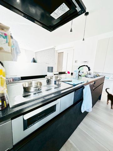 �ޗǌ��ޗǎs�ێR1���ڂ̒��È�ˌ��ẴL�b�`��