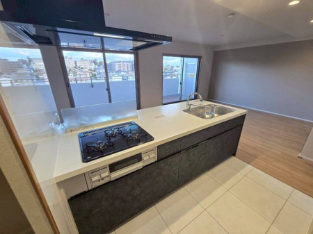 �ޗǌ��ޗǎs�O��1���ڂ̒��Ã}���V�����̃L�b�`��