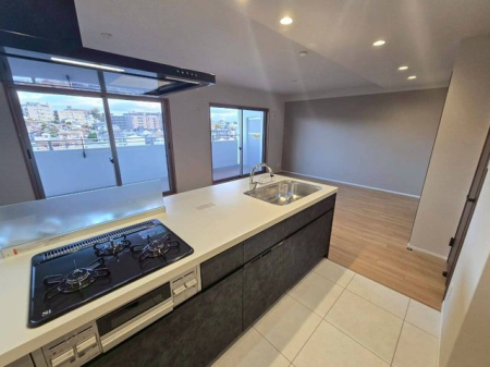 �ޗǌ��ޗǎs�O��1���ڂ̒��Ã}���V�����̃L�b�`��