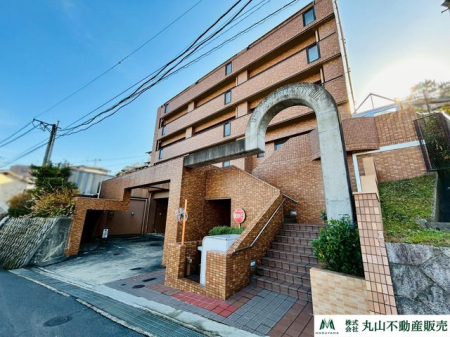 �ޗǌ�����s���V�� �̒��Ã}���V�����̌��n�O�ώʐ^