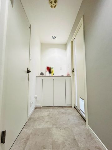 �ޗǌ�����s���V�� �̒��Ã}���V�����̂��̑�