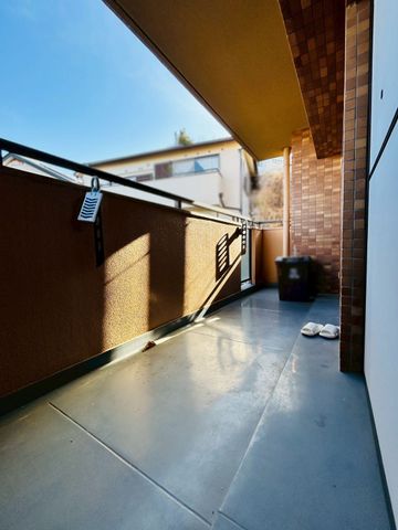 �ޗǌ�����s���V�� �̒��Ã}���V�����̃o���R�j�[