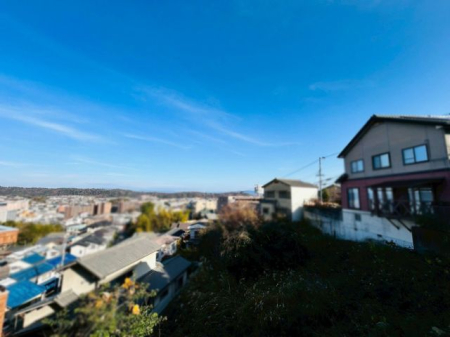 �ޗǌ�����s���V�� �̒��Ã}���V�����̂��̑�