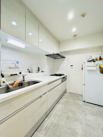 �ޗǌ�����s���V�� �̒��Ã}���V�����̃L�b�`��