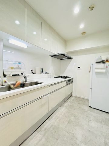 �ޗǌ�����s���V�� �̒��Ã}���V�����̃L�b�`��