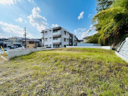 �ޗǌ���a�S�R�s�i�c���� �̓y�n�̌��n�y�n�ʐ^