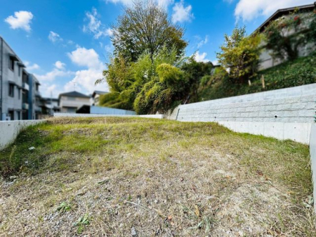 �ޗǌ���a�S�R�s�i�c���� �̓y�n�̌��n�y�n�ʐ^