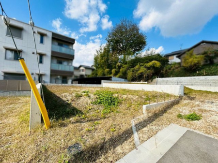 �ޗǌ���a�S�R�s�i�c���� �̓y�n�̌��n�y�n�ʐ^