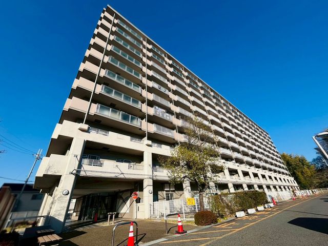 �ޗǌ�����s�厚���� �̒��Ã}���V�����̌��n�O�ώʐ^