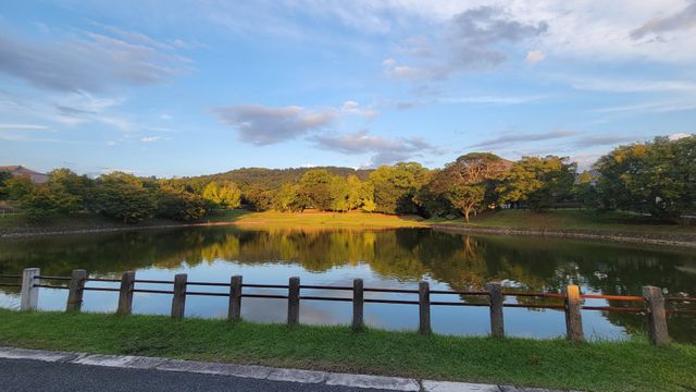 �ޗǌ��ޗǎs�k��[�� �̒��Ã}���V�����̎��ӊ�