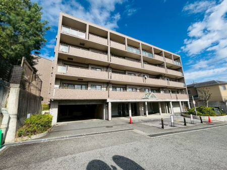 �ޗǌ��ޗǎs�w����5���ڂ̒��Ã}���V�����̌��n�O�ώʐ^