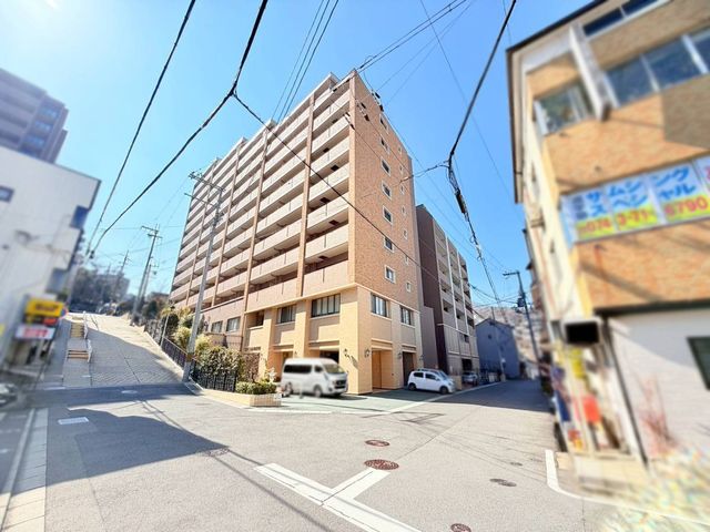 �ޗǌ�����s�R��V�� �̒��Ã}���V�����̌��n�O�ώʐ^