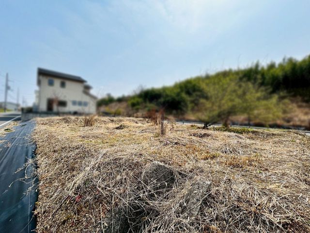 ���s�{�ؒÐ�s��R��10���ڂ̓y�n�̂��̑�