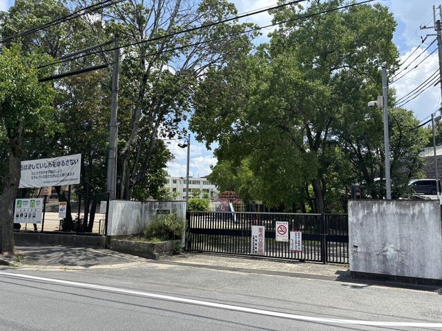 �ޗǌ�����s�R��V�� �̒��Ã}���V�����̎��ӊ�