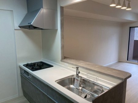 �ޗǌ�����s�R��V�� �̒��Ã}���V�����̃L�b�`��