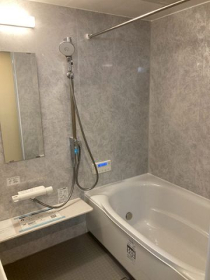 �ޗǌ�����s�R��V�� �̒��Ã}���V�����̗���