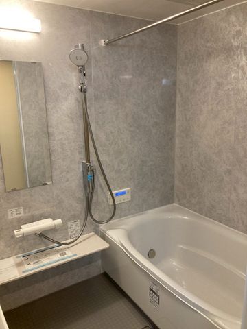 �ޗǌ�����s�R��V�� �̒��Ã}���V�����̗���