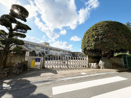 �ޗǌ��k����S��q�����P�u2���ڂ̒��È�ˌ��Ẳ摜