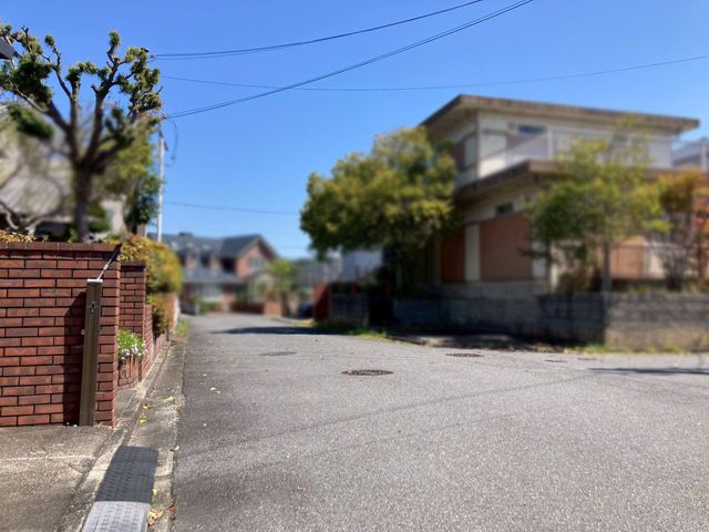 �ޗǌ�����s�������� �̒��È�ˌ��Ă̌��n�O�ώʐ^