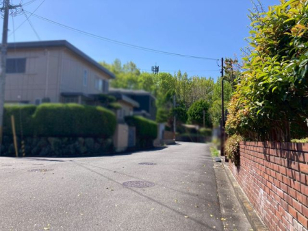 �ޗǌ�����s�������� �̒��È�ˌ��Ă̌��n�O�ώʐ^