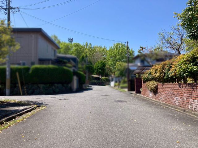 �ޗǌ�����s�������� �̒��È�ˌ��Ă̌��n�O�ώʐ^