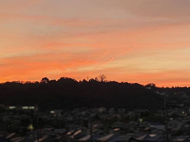 �ޗǌ�����s�������� �̒��È�ˌ��Ă̂��̑�