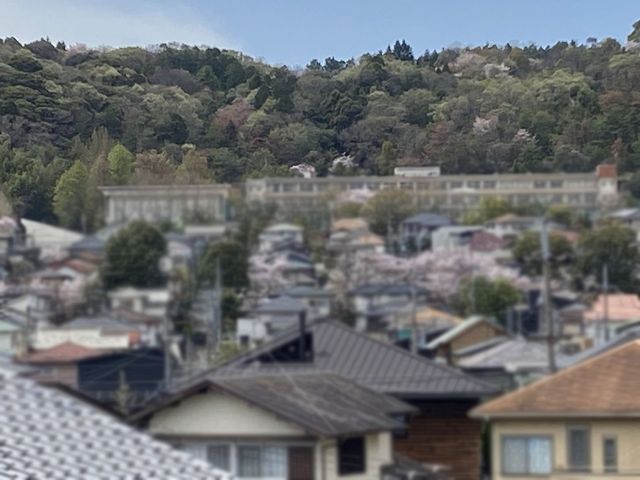 �ޗǌ�����s�������� �̒��È�ˌ��Ă̂��̑�