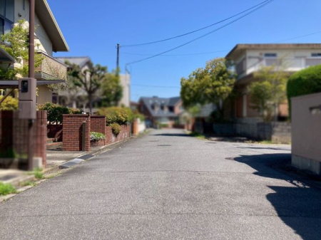 �ޗǌ�����s�������� �̒��È�ˌ��Ă̌��n�O�ώʐ^