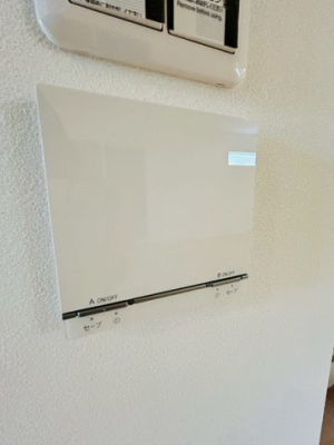 �ޗǌ�����s������ �̐V�z��ˌ��Ă̂��̑�����