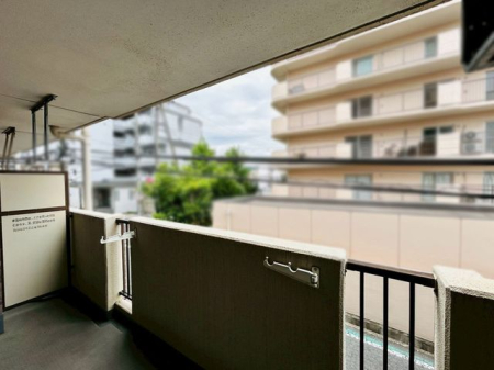 �ޗǌ������s�v�Ē� �̒��Ã}���V�����̉摜