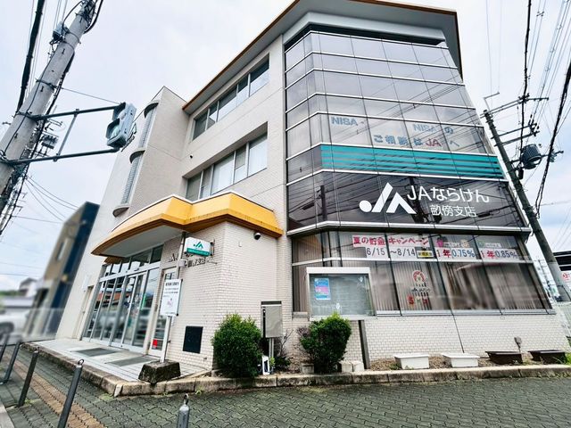 �ޗǌ������s�ΐ쒬 �̒��Ã}���V�����̉摜