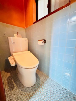 �ޗǌ����S�c���{���厚�{�X �̒��È�ˌ��Ẵg�C��