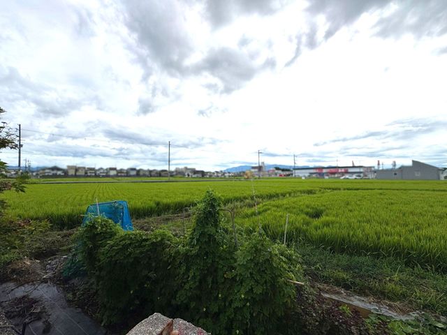 �ޗǌ����S�c���{���厚��� �̓y�n�̂��̑�