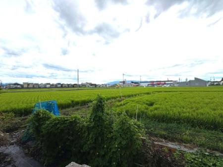 �ޗǌ����S�c���{���厚��� �̓y�n�̂��̑�