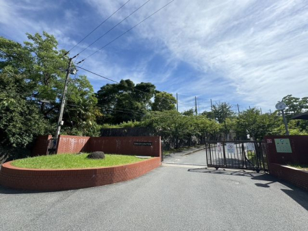 �ޗǌ���a�S�R�s��� �̐V�z��ˌ��Ẳ摜